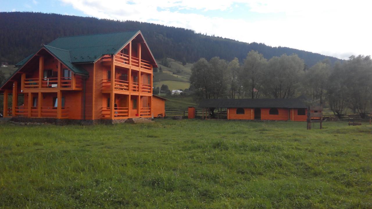 Плай Villa Verkhovyna Buitenkant foto