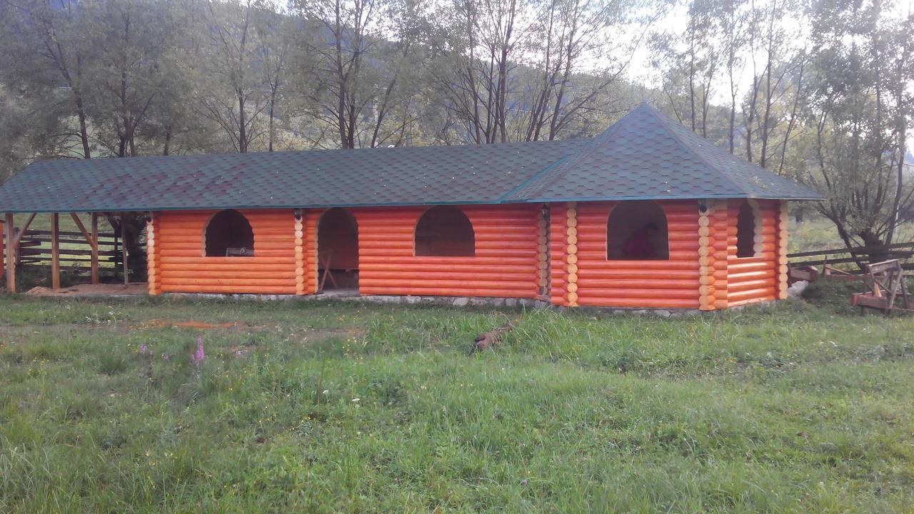 Плай Villa Verkhovyna Buitenkant foto